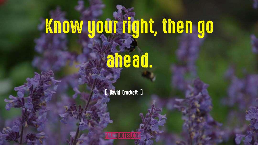 Narice Crockett quotes by David Crockett