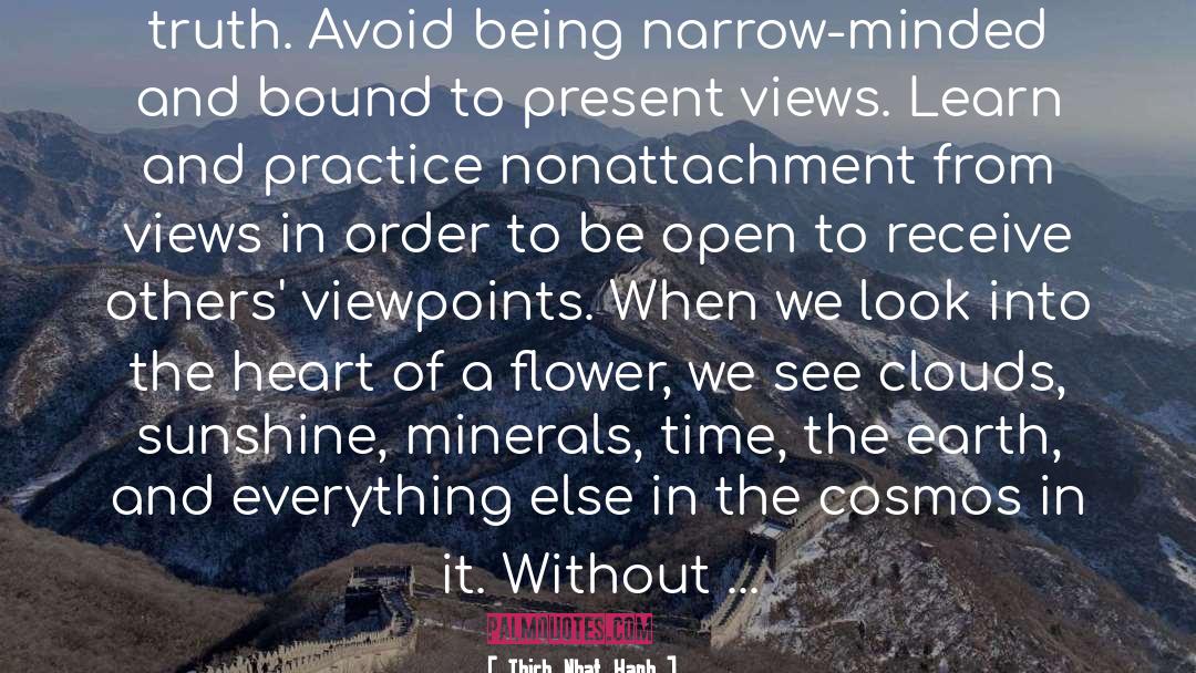 Narrow Minded quotes by Thich Nhat Hanh