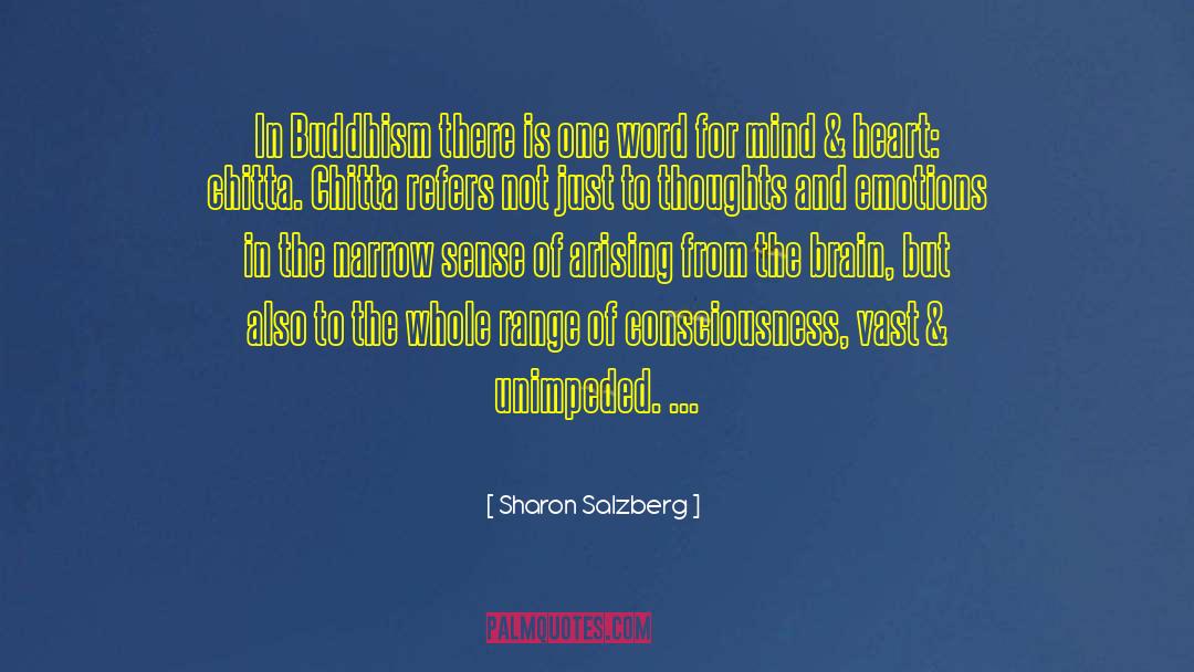 Narrow Mindedness quotes by Sharon Salzberg