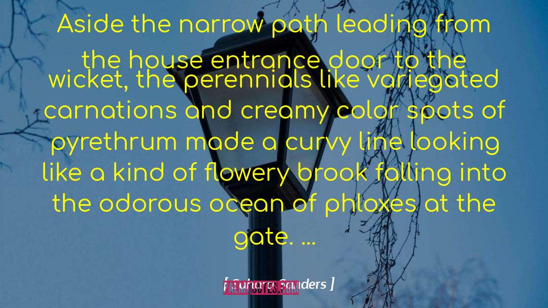 Narrow Path quotes by Sahara Sanders