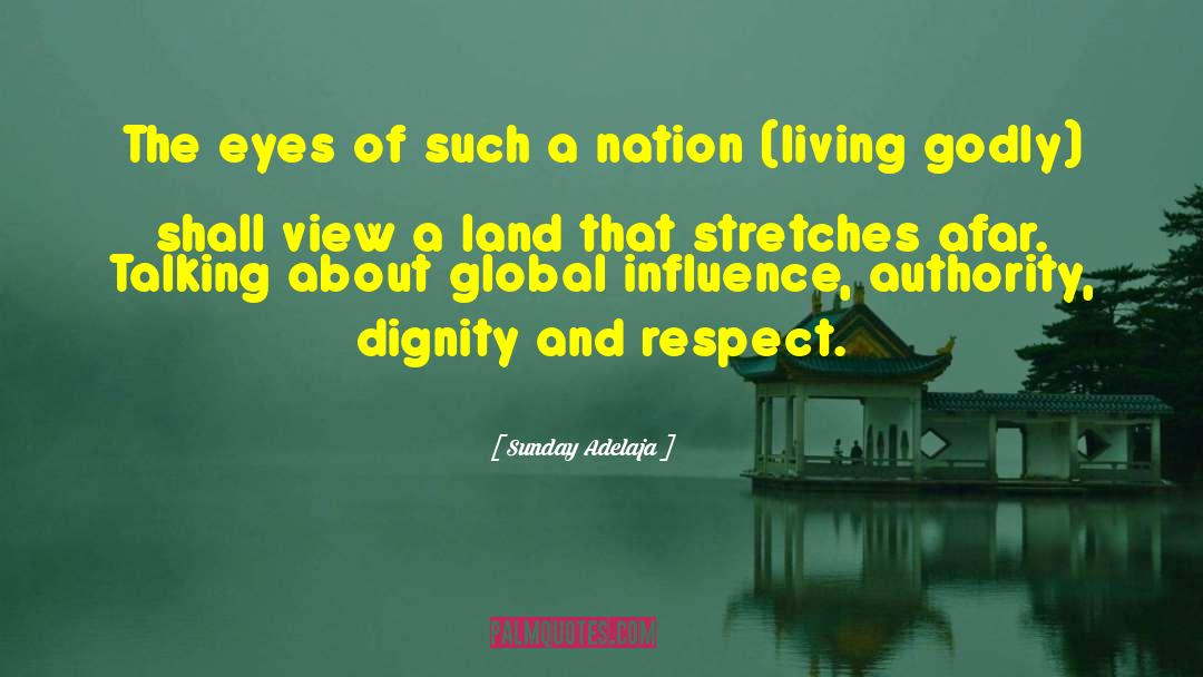 Nation Builder quotes by Sunday Adelaja