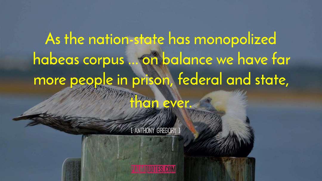Nation State quotes by Anthony Gregory
