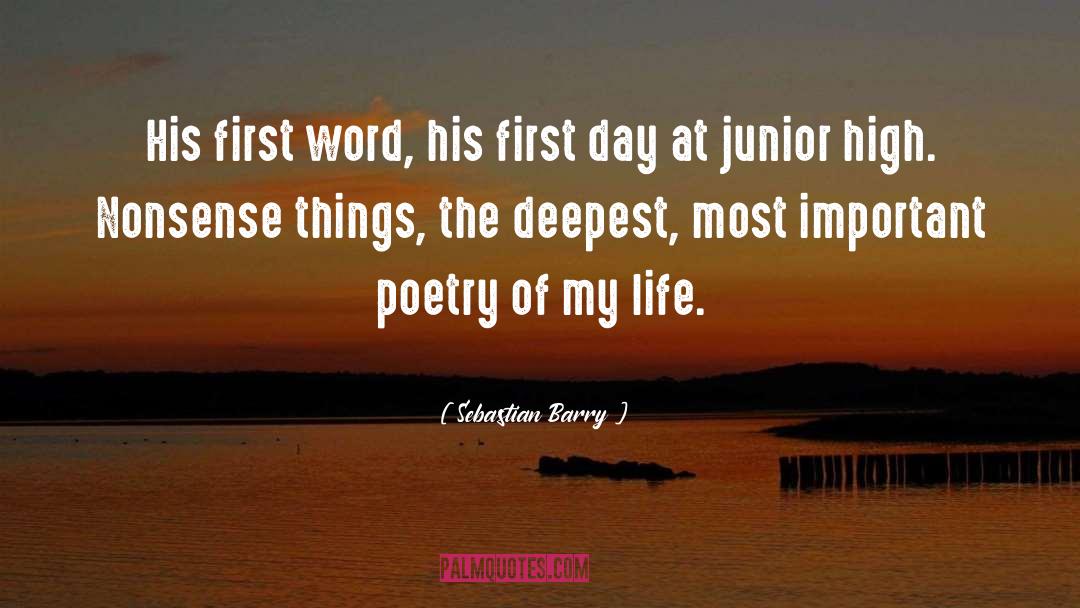 National Poetry Day quotes by Sebastian Barry