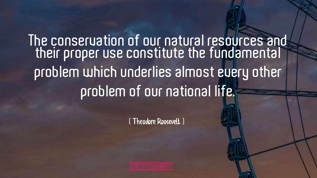 National Sevice quotes by Theodore Roosevelt