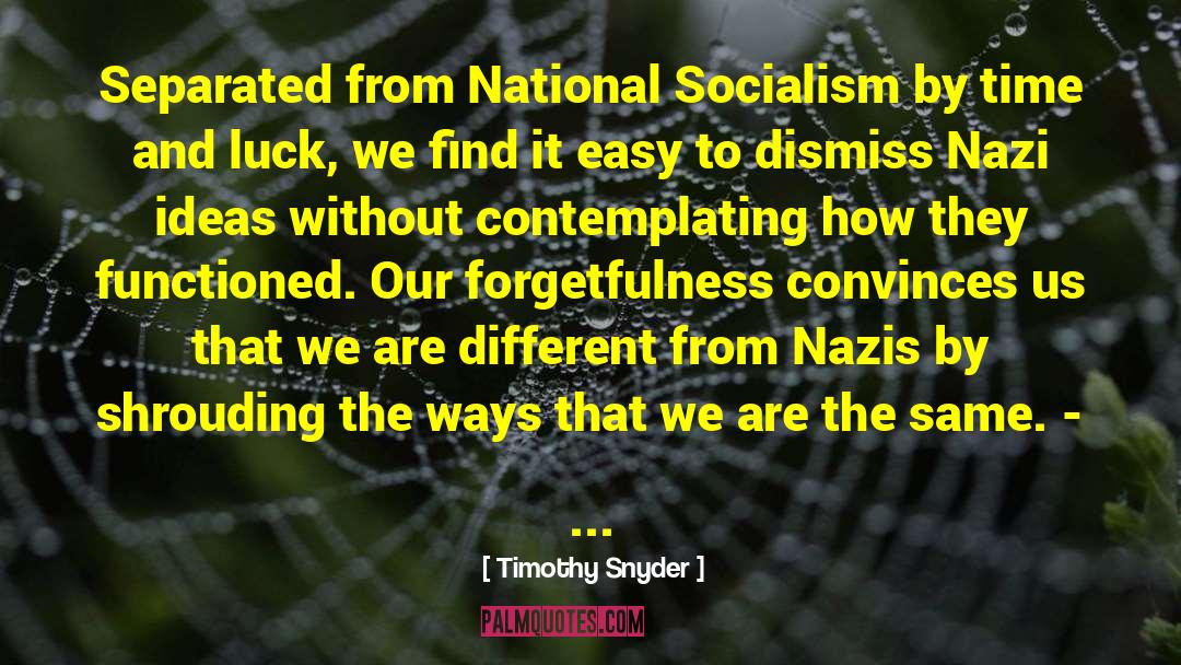National Socialism Origin quotes by Timothy Snyder