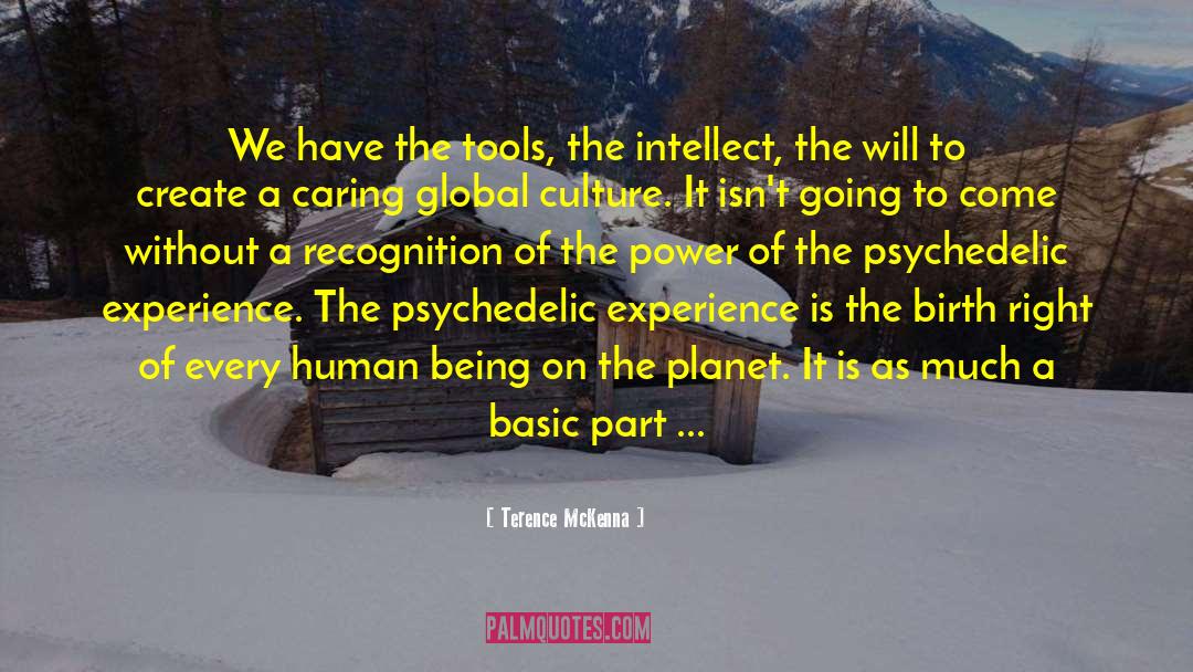 National Socialist quotes by Terence McKenna