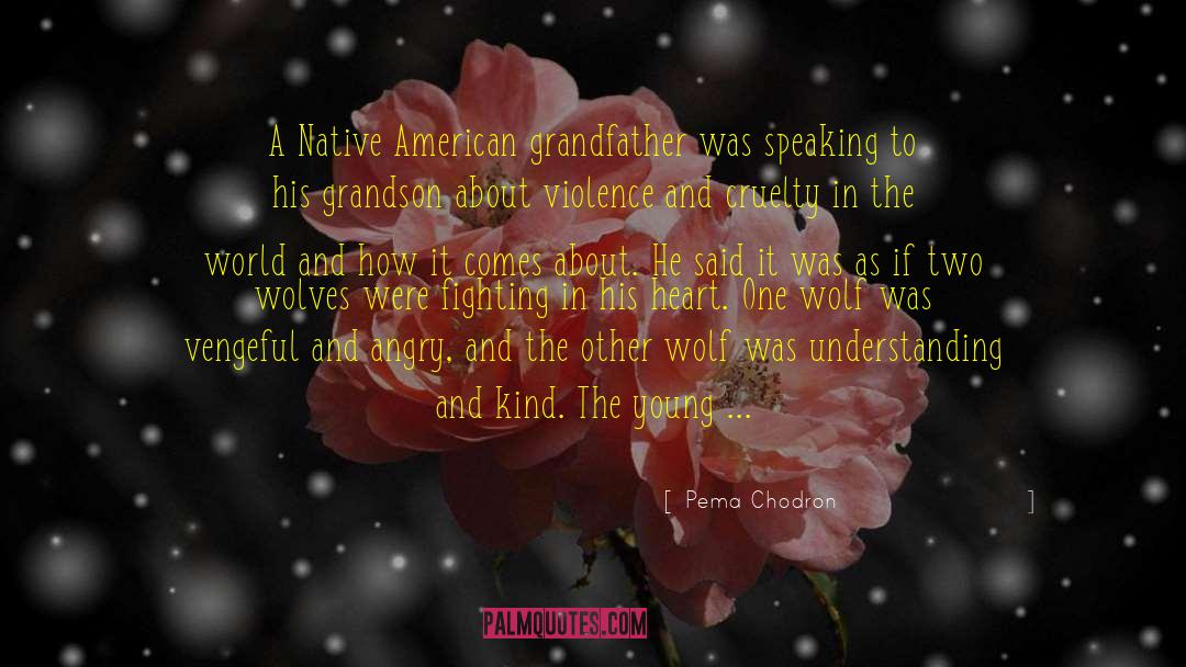 Native American Reservation Land quotes by Pema Chodron