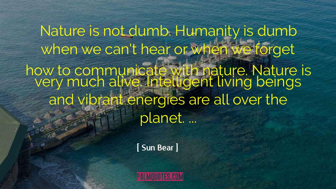 Native American Wisdom quotes by Sun Bear