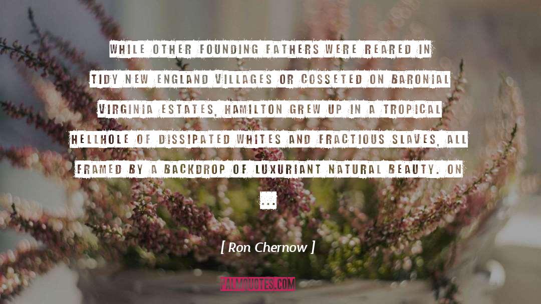 Natural Beauty quotes by Ron Chernow