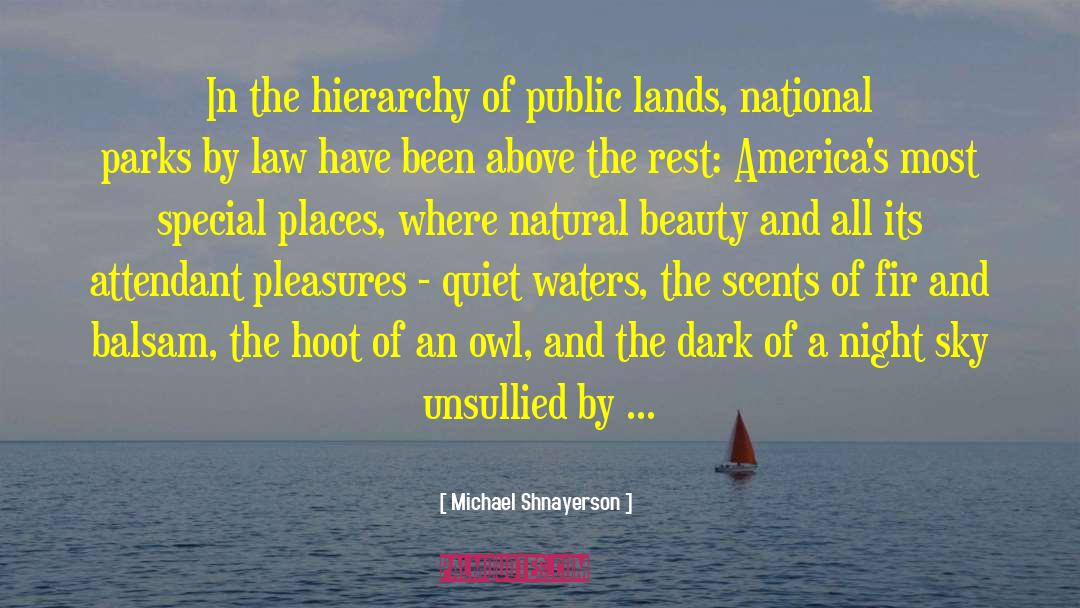 Natural Beauty quotes by Michael Shnayerson