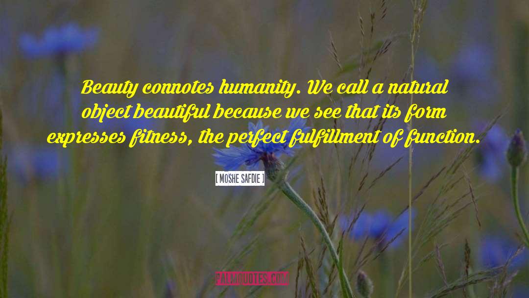 Natural Beauty Scenery quotes by Moshe Safdie