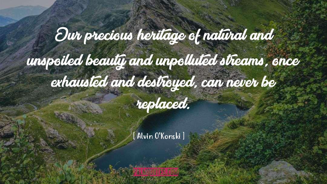 Natural Beauty Scenery quotes by Alvin O'Konski