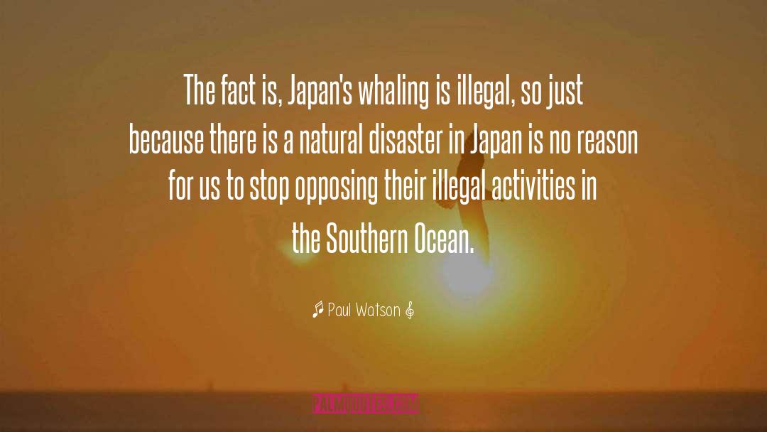 Natural Disaster quotes by Paul Watson