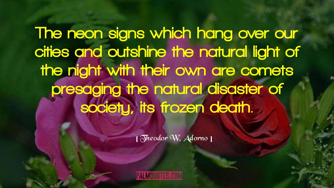 Natural Disaster quotes by Theodor W. Adorno