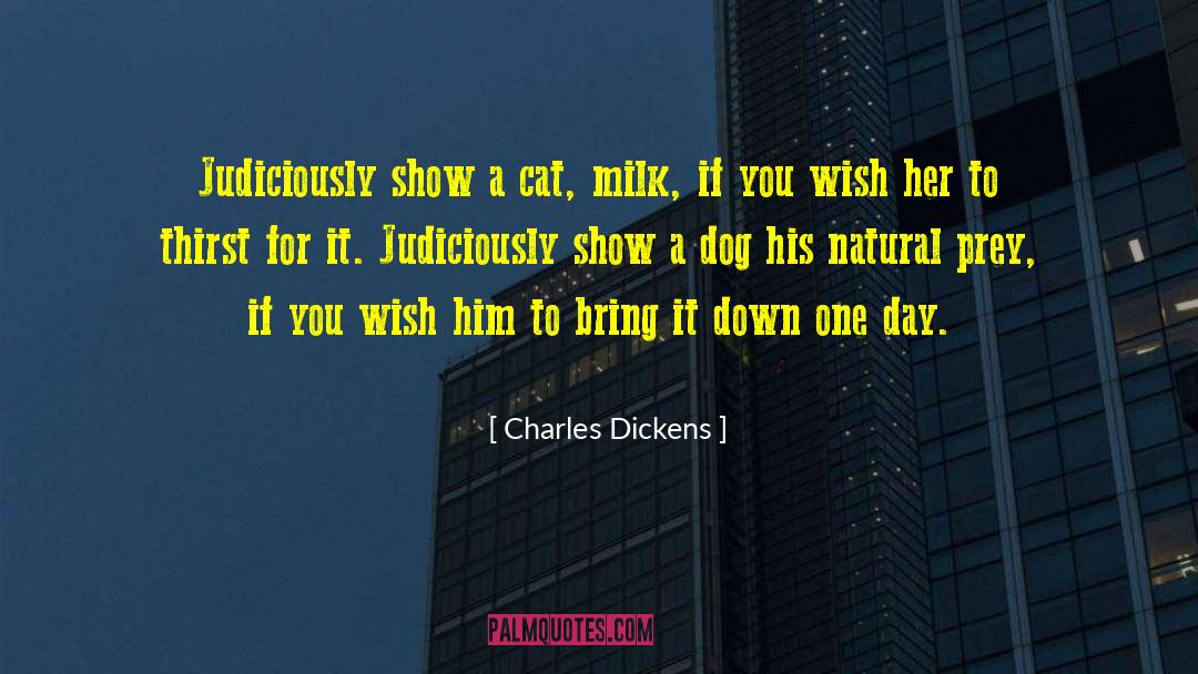 Natural Endowment quotes by Charles Dickens