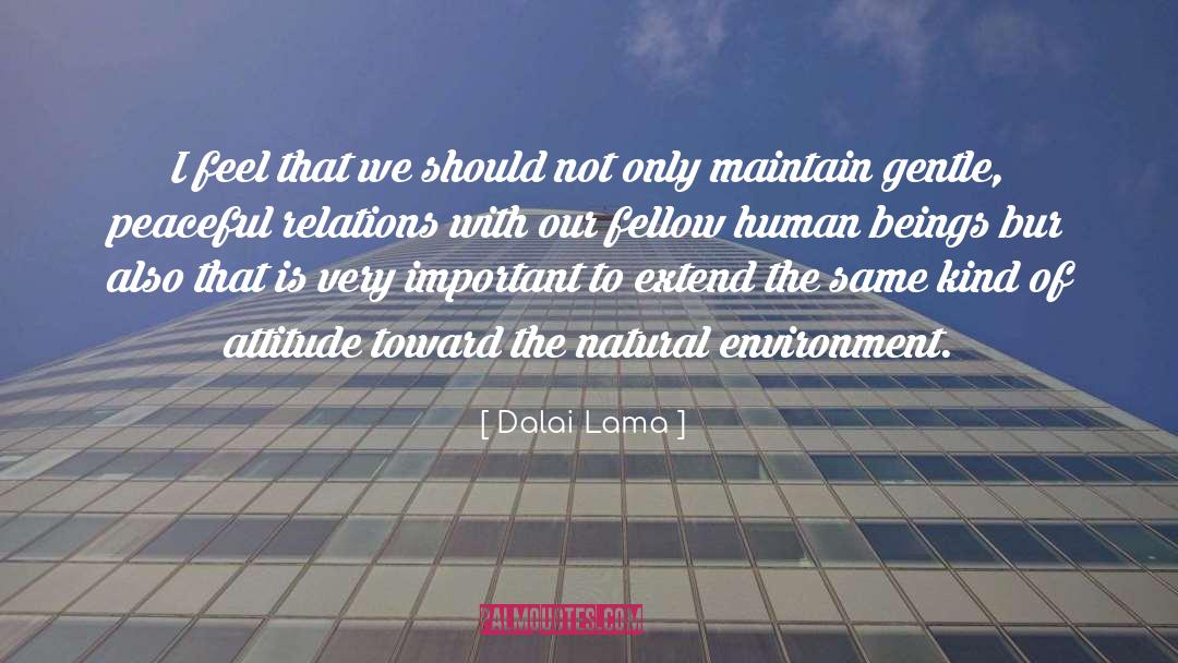 Natural Environment quotes by Dalai Lama