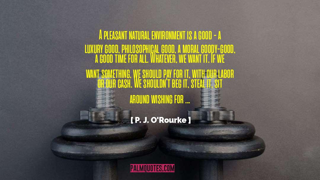 Natural Environment quotes by P. J. O'Rourke