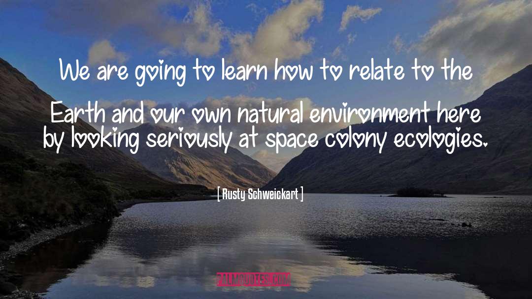 Natural Environment quotes by Rusty Schweickart