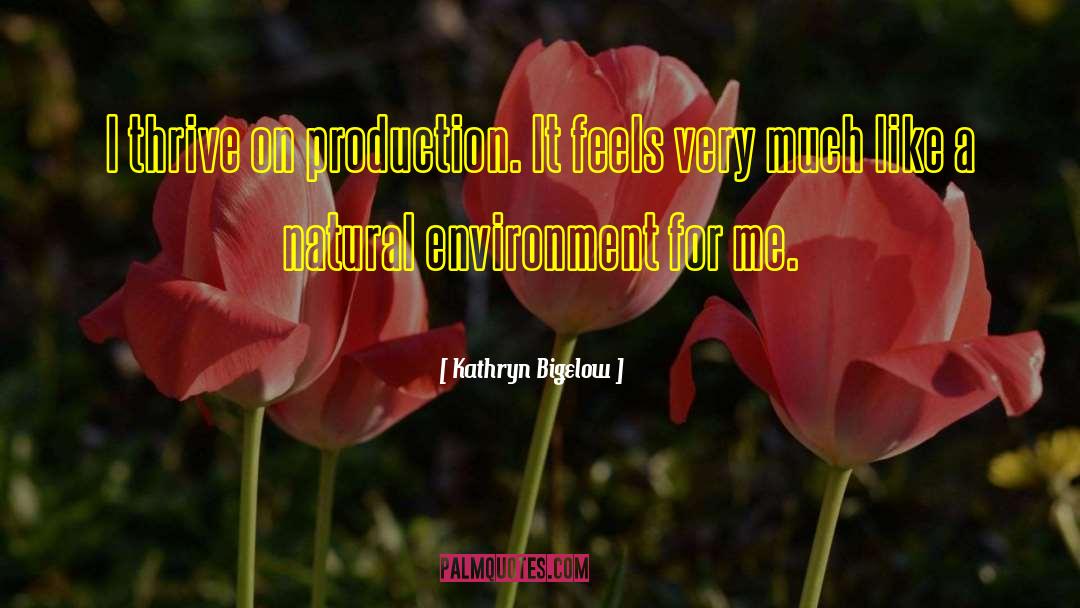 Natural Environment quotes by Kathryn Bigelow