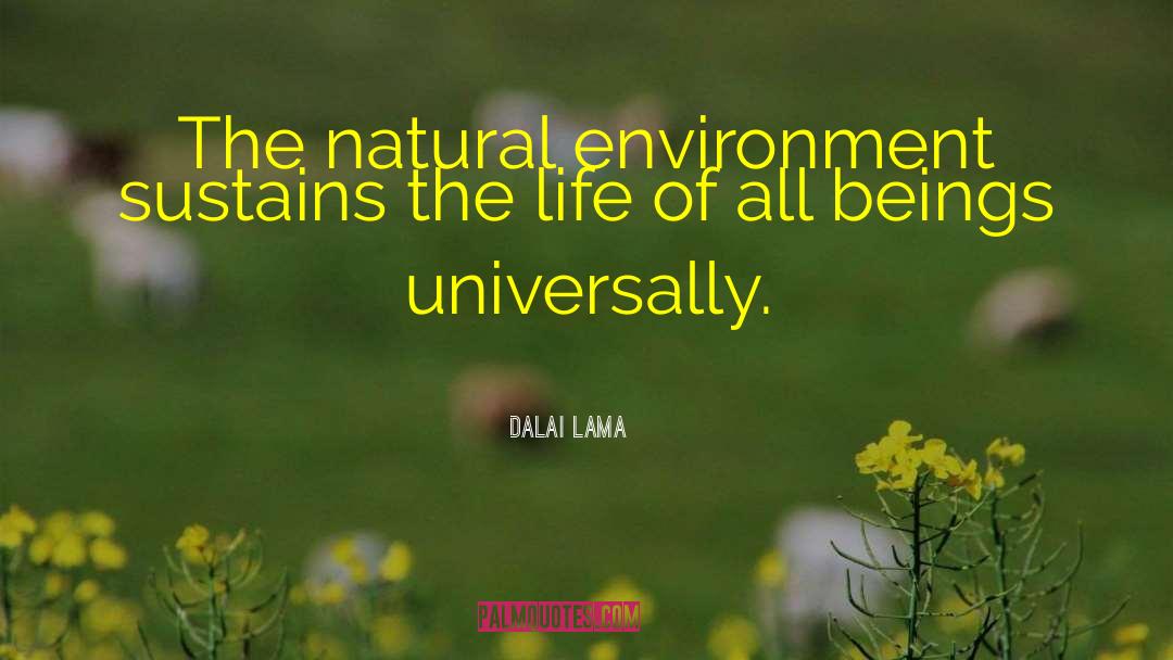 Natural Environment quotes by Dalai Lama