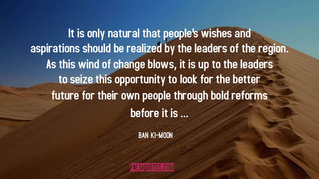 Natural Gifts quotes by Ban Ki-moon