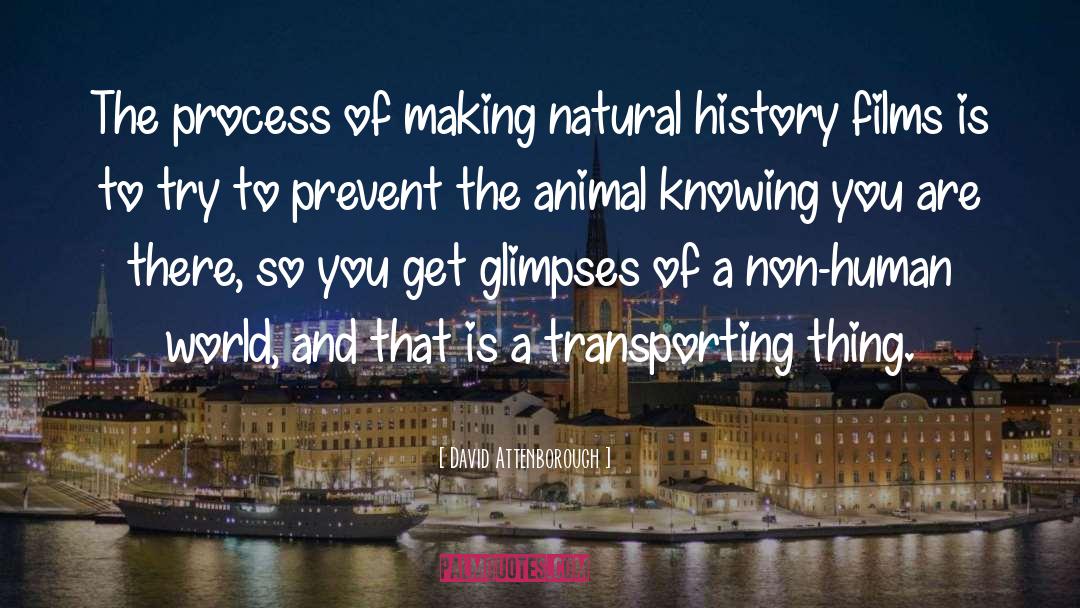 Natural History quotes by David Attenborough