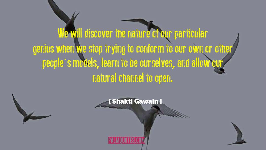 Natural Horsemanship quotes by Shakti Gawain