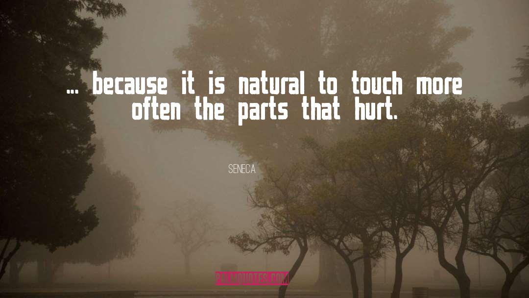 Natural Instinct quotes by Seneca.