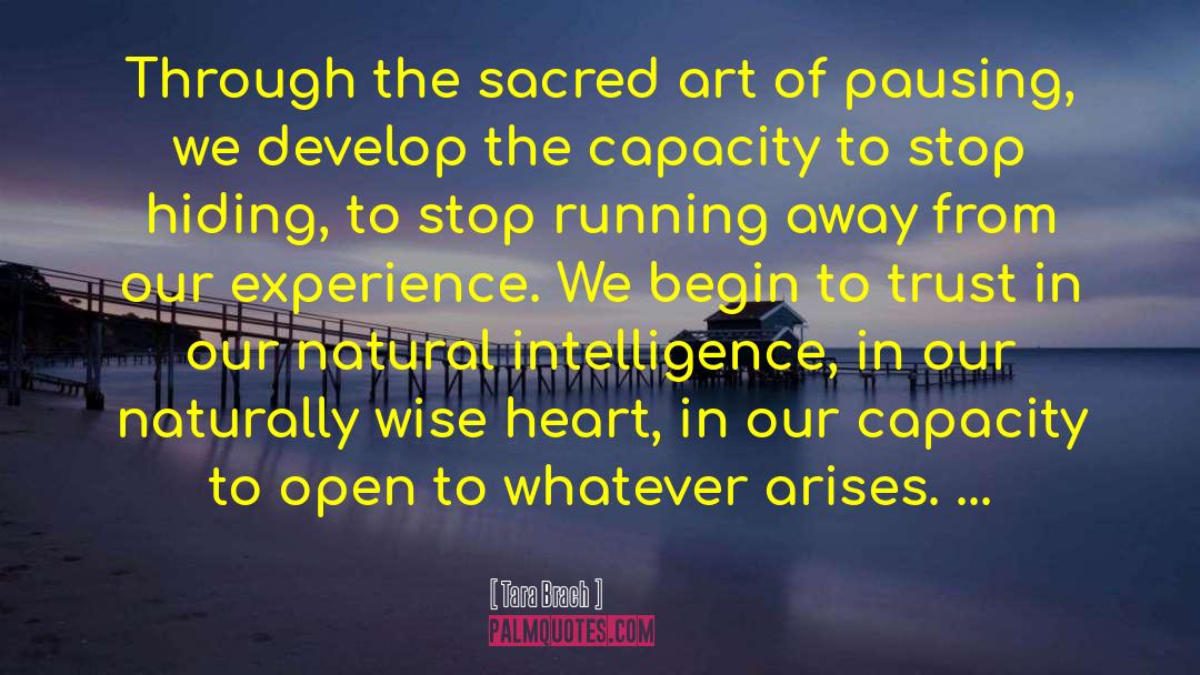 Natural Intelligence quotes by Tara Brach