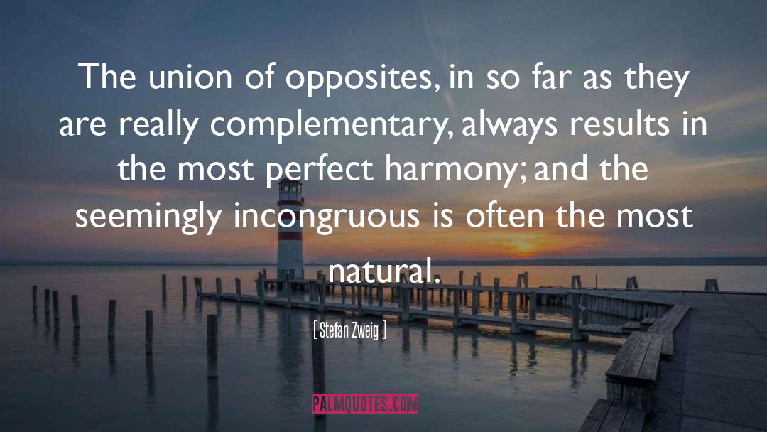 Natural Look quotes by Stefan Zweig