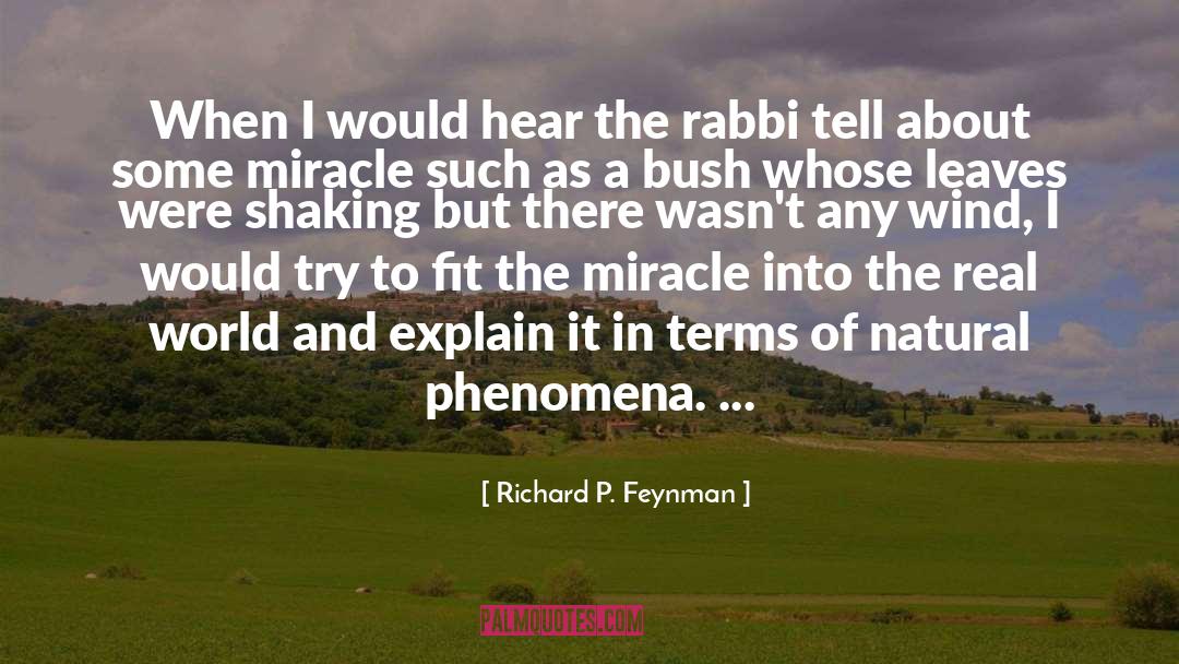 Natural Phenomena quotes by Richard P. Feynman