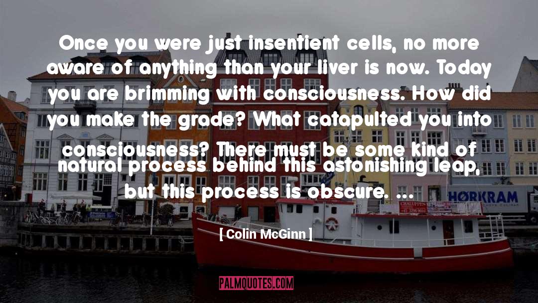 Natural Process quotes by Colin McGinn