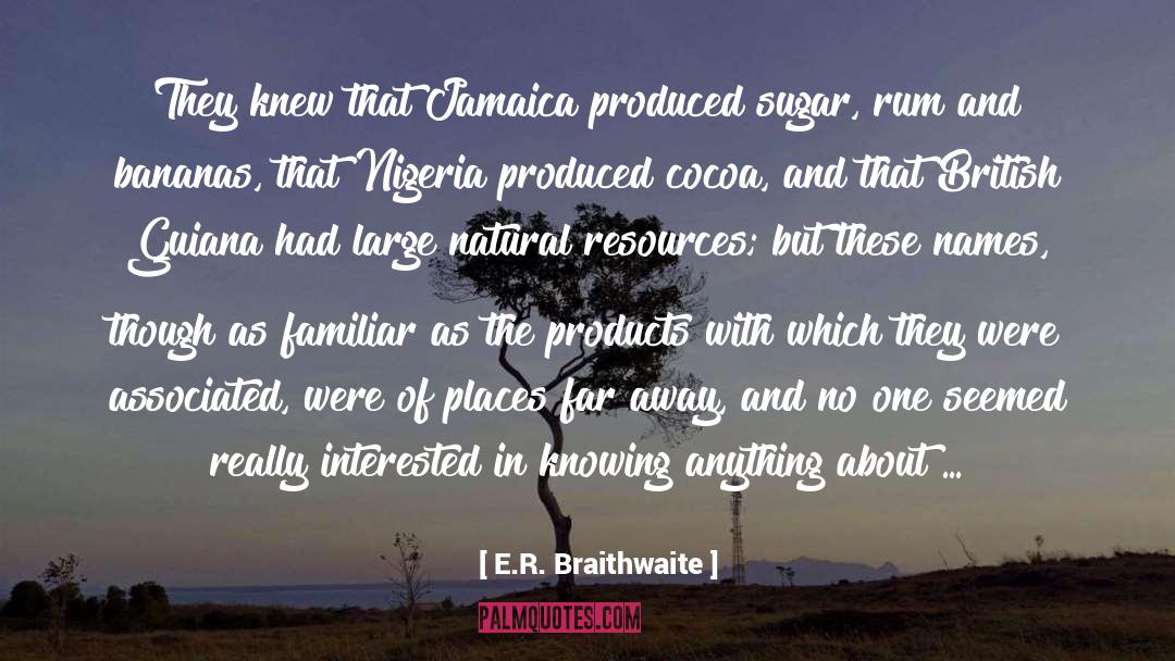 Natural Resources quotes by E.R. Braithwaite