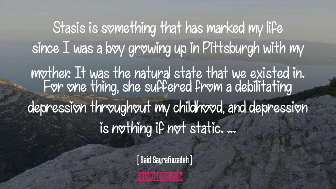 Natural State quotes by Said Sayrafiezadeh