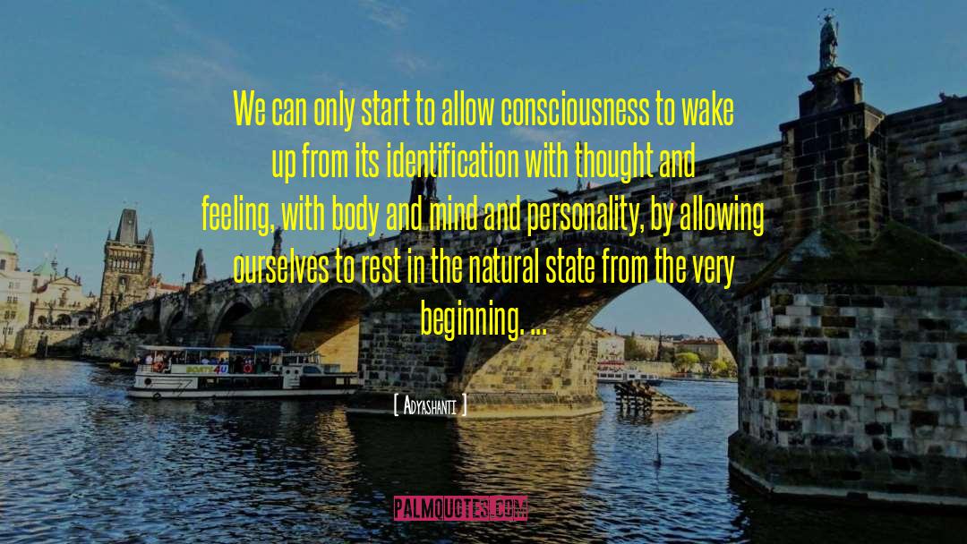 Natural State quotes by Adyashanti