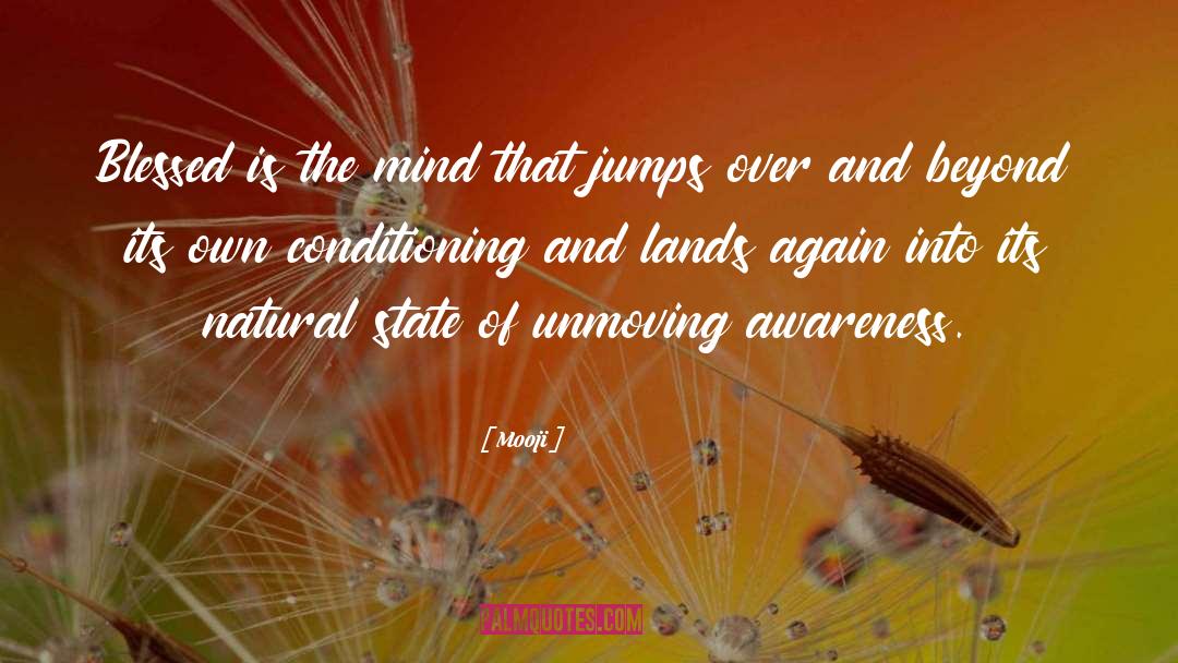 Natural State quotes by Mooji