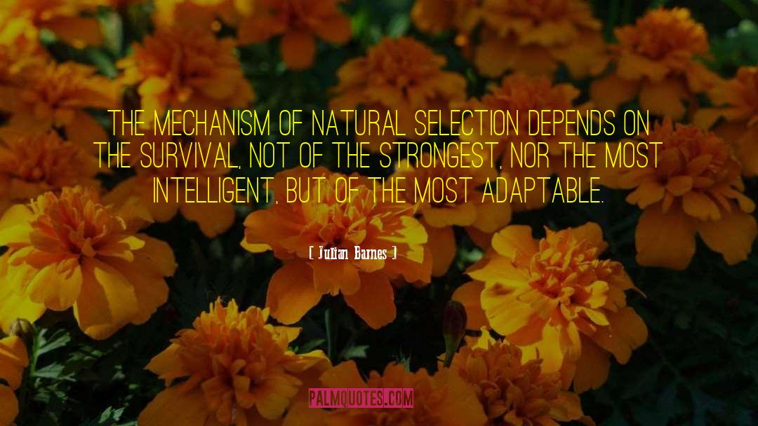 Natural Things quotes by Julian Barnes