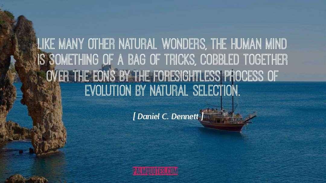 Natural Wonders quotes by Daniel C. Dennett