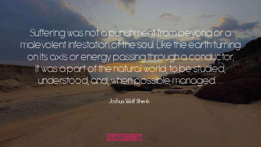 Natural World quotes by Joshua Wolf Shenk