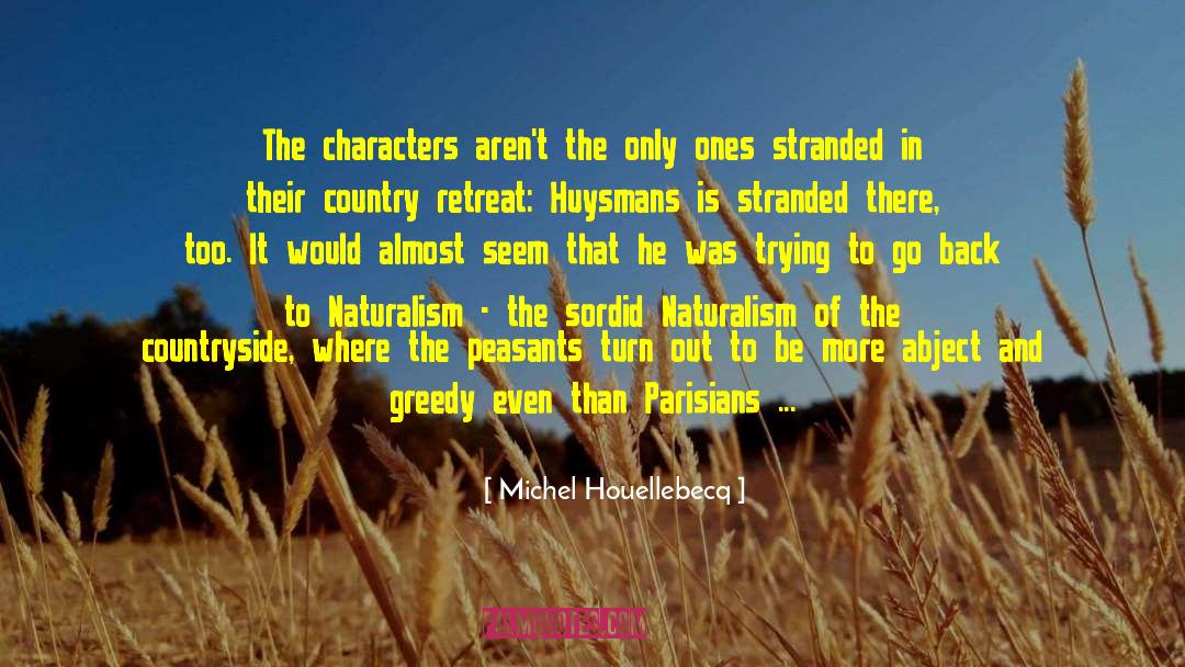 Naturalism quotes by Michel Houellebecq