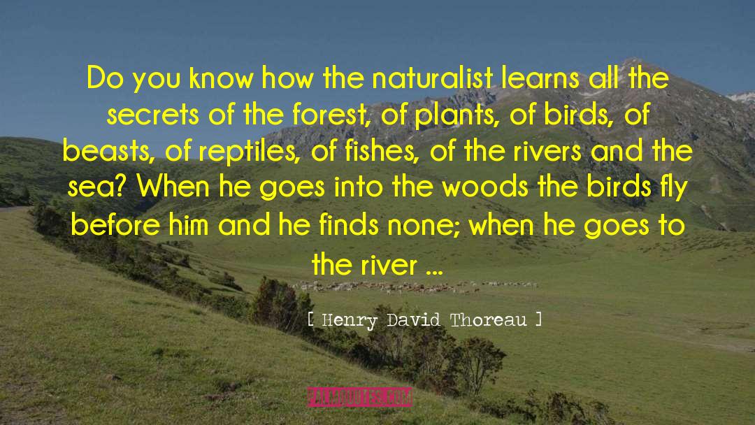 Naturalist quotes by Henry David Thoreau