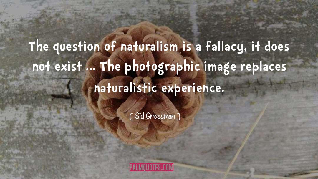 Naturalistic quotes by Sid Grossman