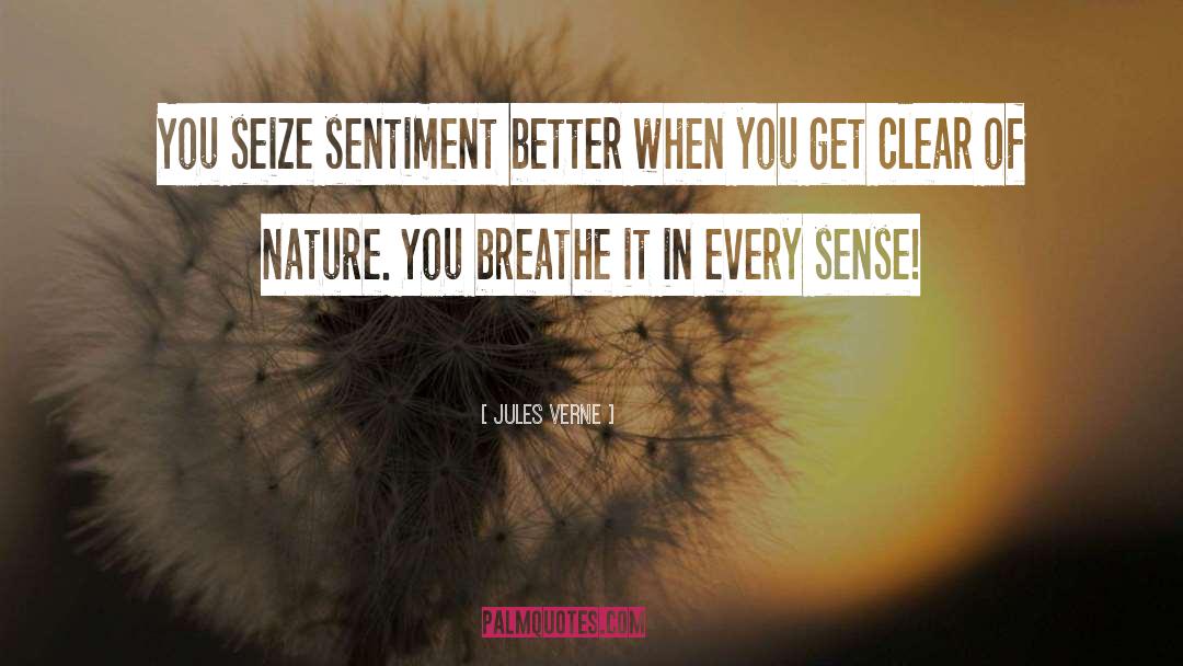 Nature 27s Beauty quotes by Jules Verne