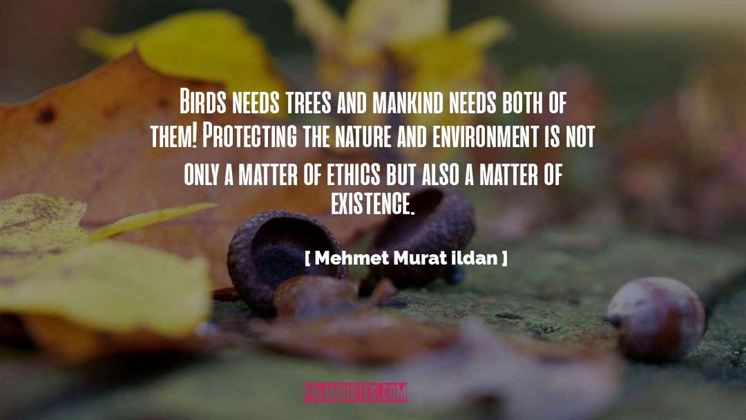 Nature And Environment quotes by Mehmet Murat Ildan