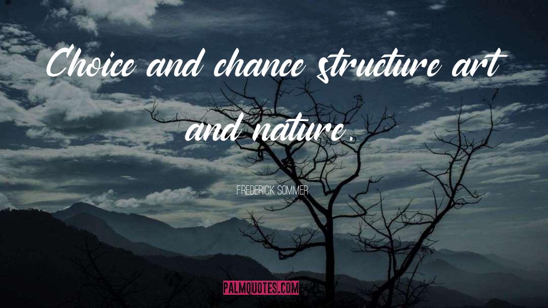 Nature Art quotes by Frederick Sommer