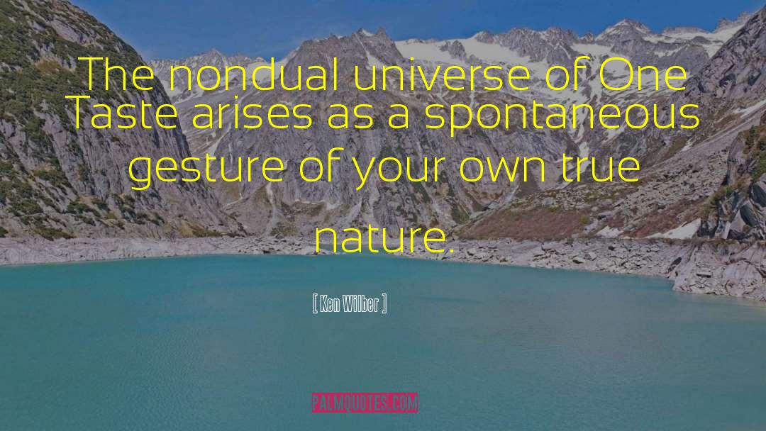 Nature Beauty quotes by Ken Wilber