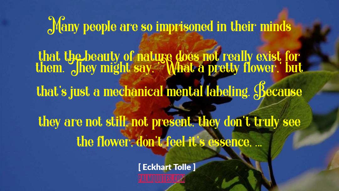 Nature Beauty quotes by Eckhart Tolle