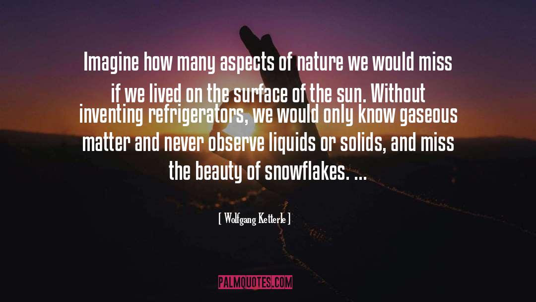 Nature Beauty quotes by Wolfgang Ketterle