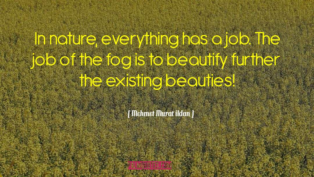 Nature Beauty quotes by Mehmet Murat Ildan