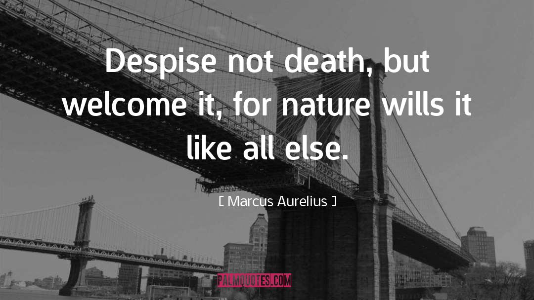 Nature Death quotes by Marcus Aurelius